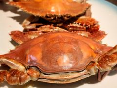 -码头鲜精致威海菜(欧乐坊店)