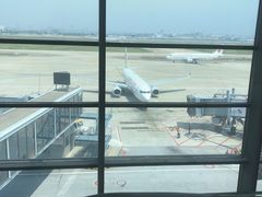 -虹桥机场国航贵宾室v8