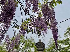 -玲珑塔公园
