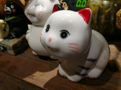 -春草居酒屋·晴子の店