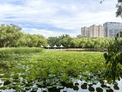 -青城公园