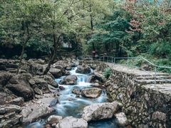-白云源风景区