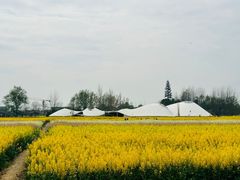 -中国天府农业博览园