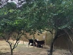 -云溪植物园