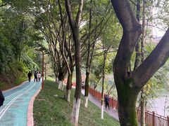 -重庆彩云湖湿地公园