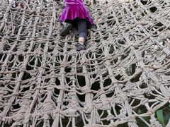 -呀路古热带植物园