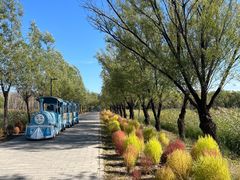 -野鸭湖国家湿地公园