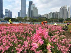 -海心沙亚运公园