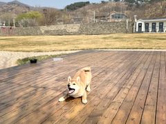 -瓦厂酒店