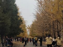 -辽宁大学(崇山校区)