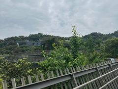 -福道