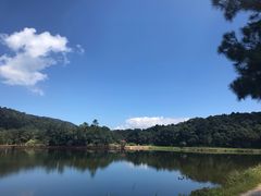 -海南热带雨林国家公园吊罗山景区