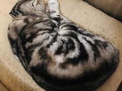 -汉唐驿-唐风美学民宿