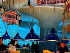 大堂-帝企鹅自助餐厅•儿童岛•真企鹅(长隆企鹅酒店)