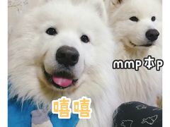 -满旗楼 北京烤鸭·涮羊肉火锅(武昌店)