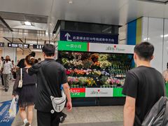 -宋家庄(地铁站)