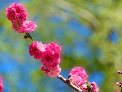 -海棠花溪(元大都城垣遗址公园)