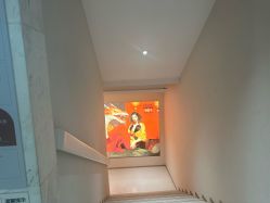 -杭州米兰柏羽医疗美容医院