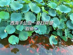 -西海子公园