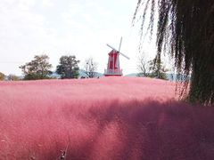 -羊亭河湿地公园