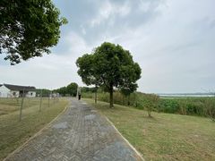 -七的湖·晚芳亭·阳澄湖农家菜·大闸蟹(莲花岛店)