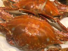 -良友·海鲜青岛菜(五四广场店)