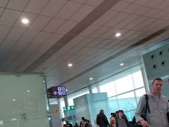 -巴塞罗那约瑟·塔拉德利亚斯-埃尔·普拉特机场