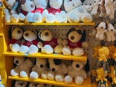 -九木杂物社(中心店)