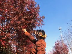 -南京枫彩漫城