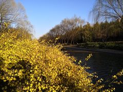 -永定河休闲森林公园