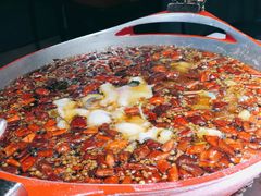 水煮乌江鱼-雲蜀龙阁·金牌水煮鱼(方庄店)