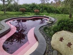 -东海森林温泉