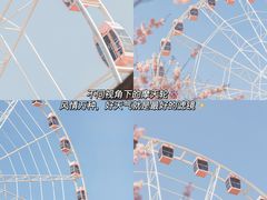 -顾村公园
