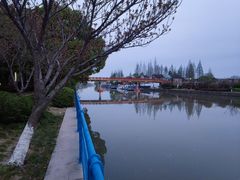 -高东镇樱花园