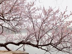 -颐和园