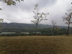 -李宁体育园