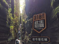 -梭布垭石林景区