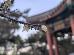 -丰台花园