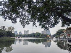 -荔湾湖公园