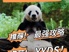-都江堰中华大熊猫苑