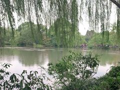-西湖游船