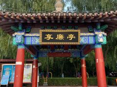 -莲花池公园