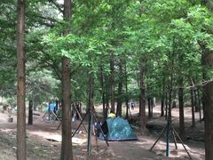 -白水寺森林公园