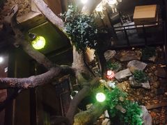 -D STAR COFFEE帝星咖啡