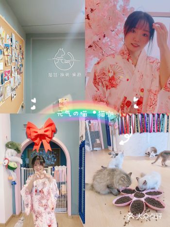 南昌探店｜超可爱的猫咖！