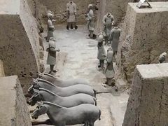 -秦始皇帝陵博物院-丽山园