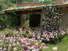 -HERRE·FARM 赫尔露营农场·团建聚会包场