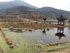 iphone_upload_pic-石塘人家