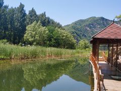 -白河湾生态旅游一条川