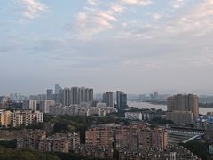 -福道